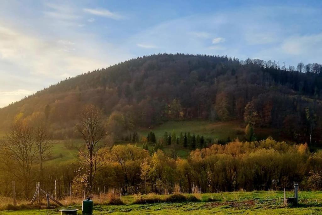 Domek Pod Ostoja Gory Sowie Lomnica  Exteriör bild