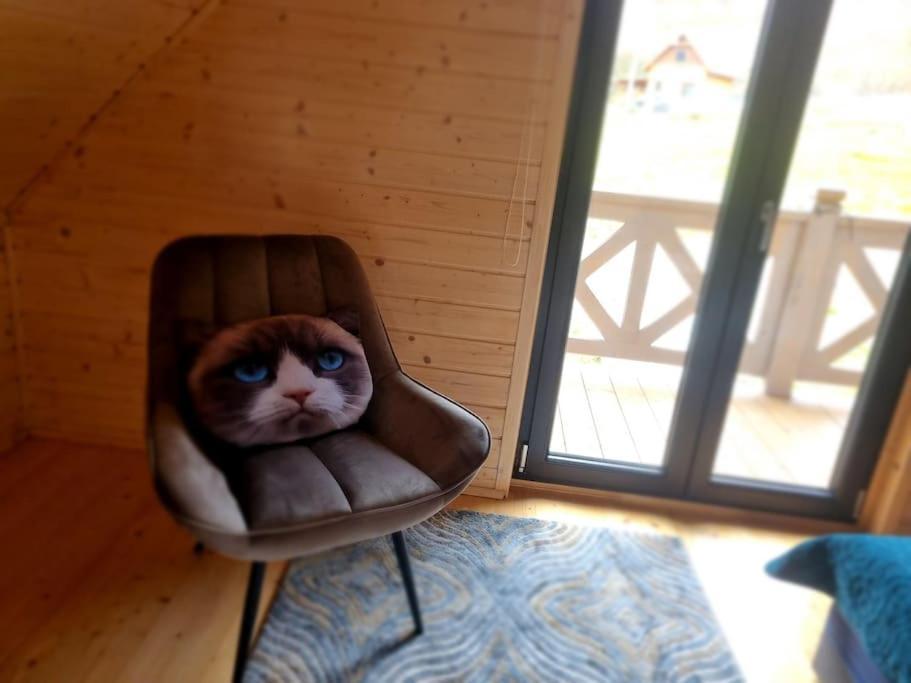 Domek Pod Ostoja Gory Sowie Lomnica  Exteriör bild