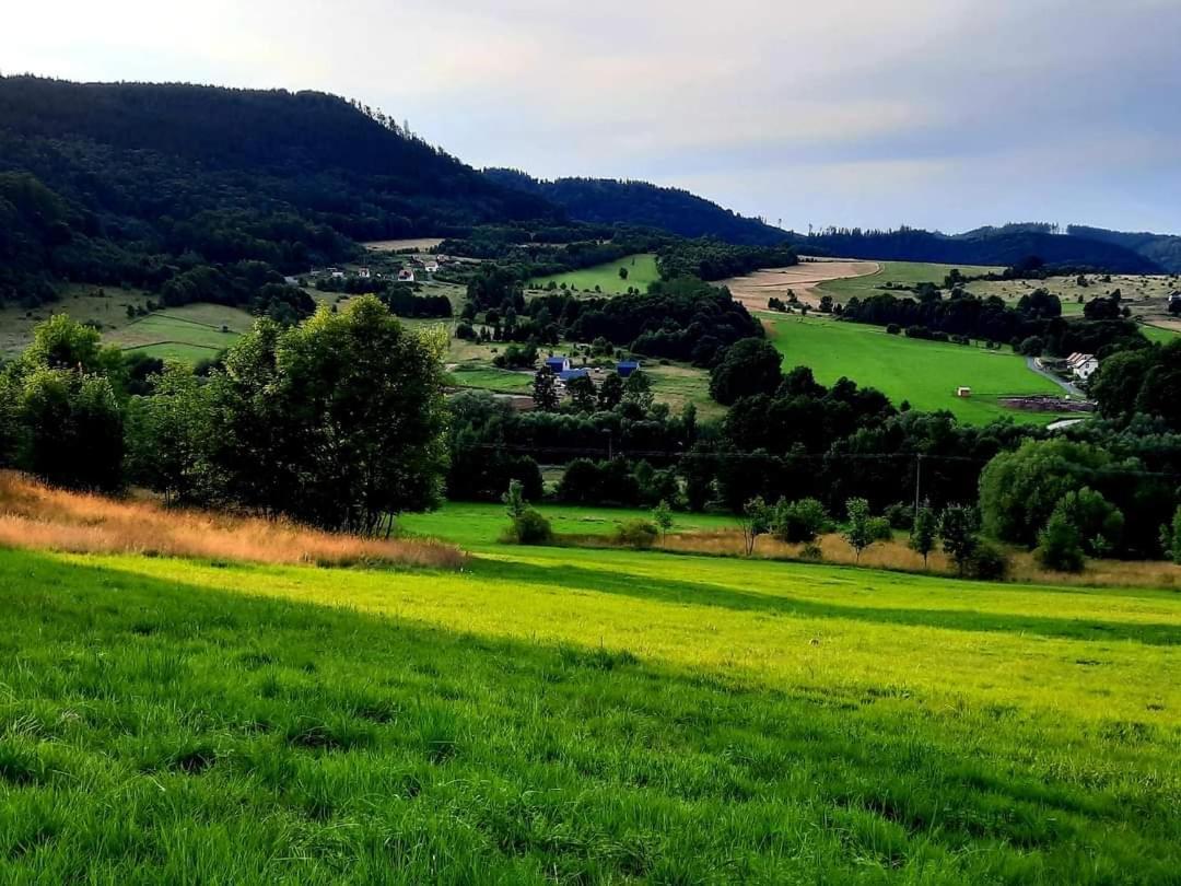Domek Pod Ostoja Gory Sowie Lomnica  Exteriör bild