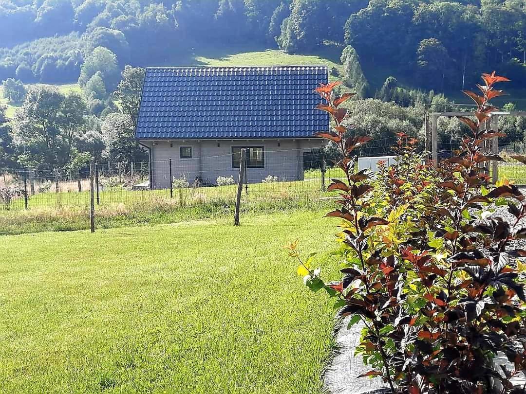 Domek Pod Ostoja Gory Sowie Lomnica  Exteriör bild