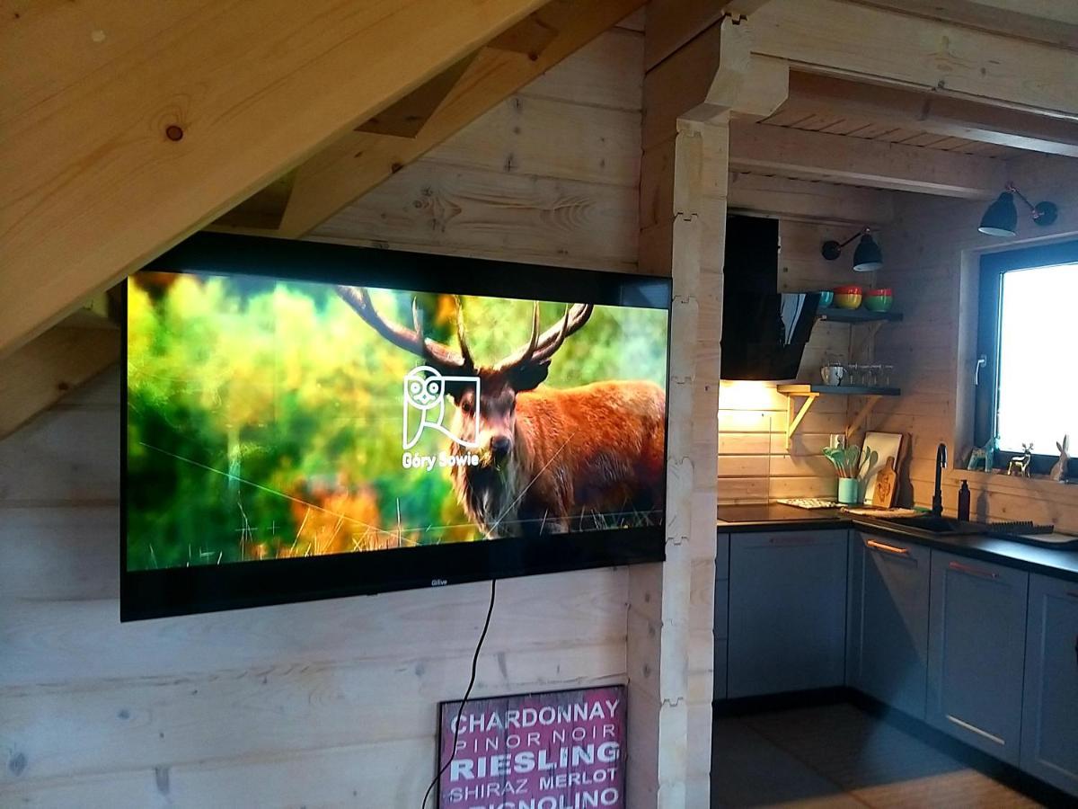 Domek Pod Ostoja Gory Sowie Lomnica  Exteriör bild
