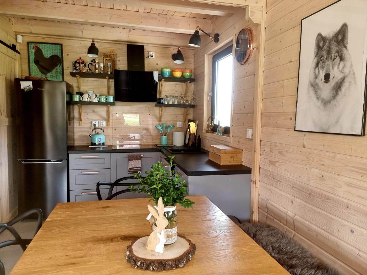 Domek Pod Ostoja Gory Sowie Lomnica  Exteriör bild