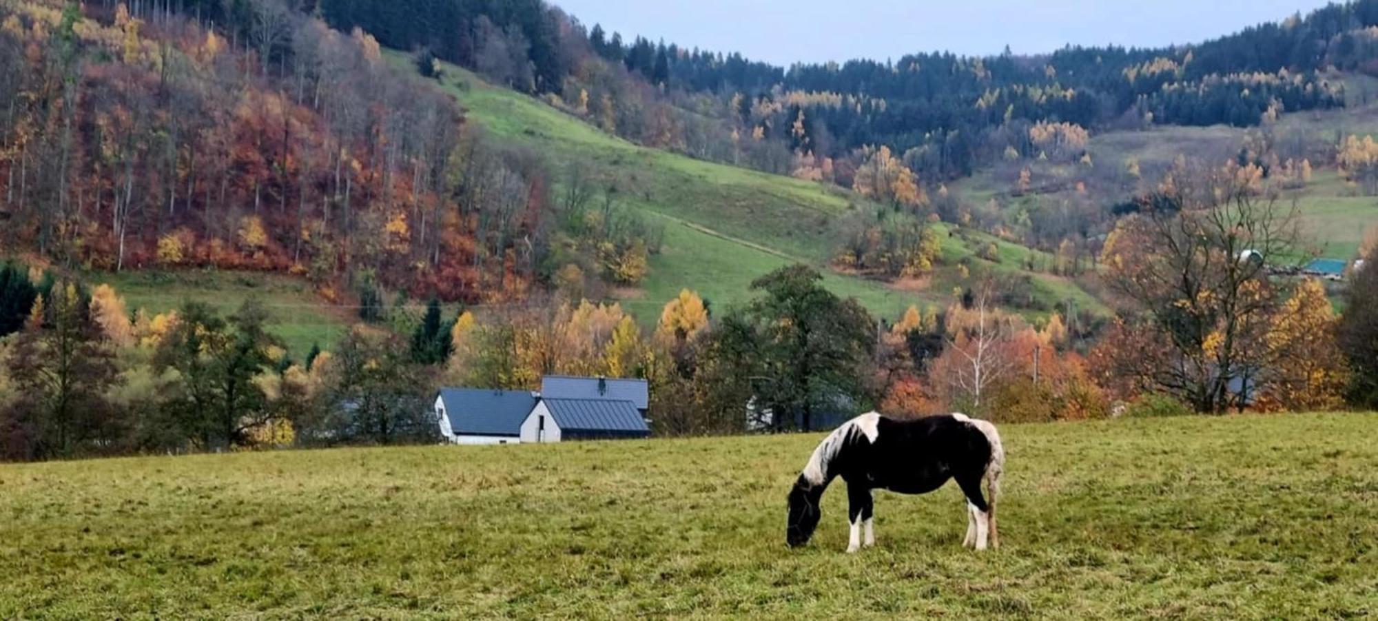 Domek Pod Ostoja Gory Sowie Lomnica  Exteriör bild